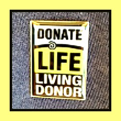 living kidney donor process