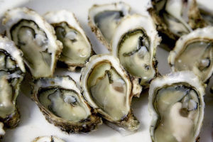 eat oysters diabetes